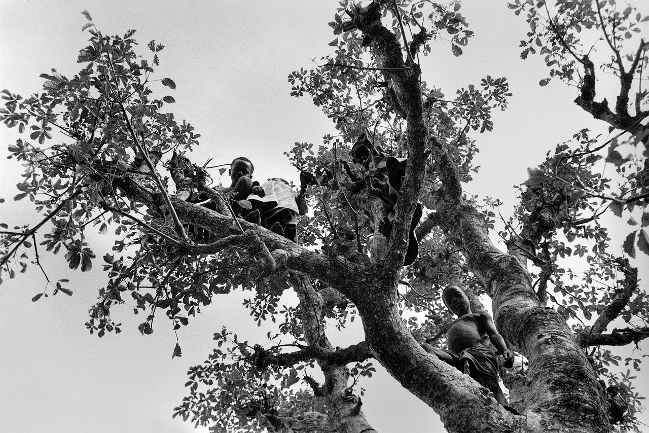 020 Bambini sull’albero, Dakar, Senegal, 1970