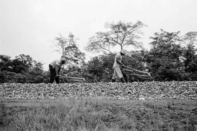 025 Lavori sulla ferrovia transgaboniana, Gabon, 1978