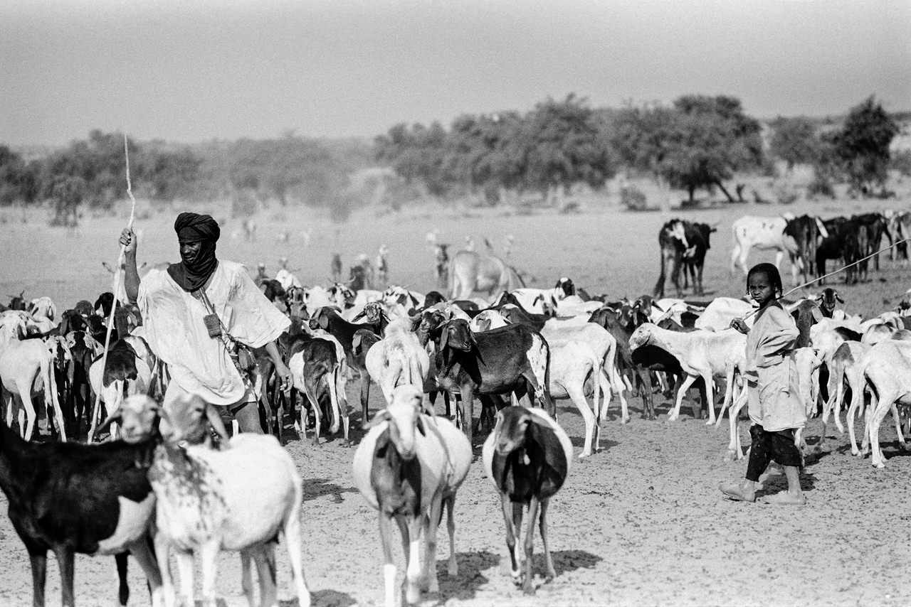 032 Pastori, Alto Volta, odierno Burkina Faso, 1978